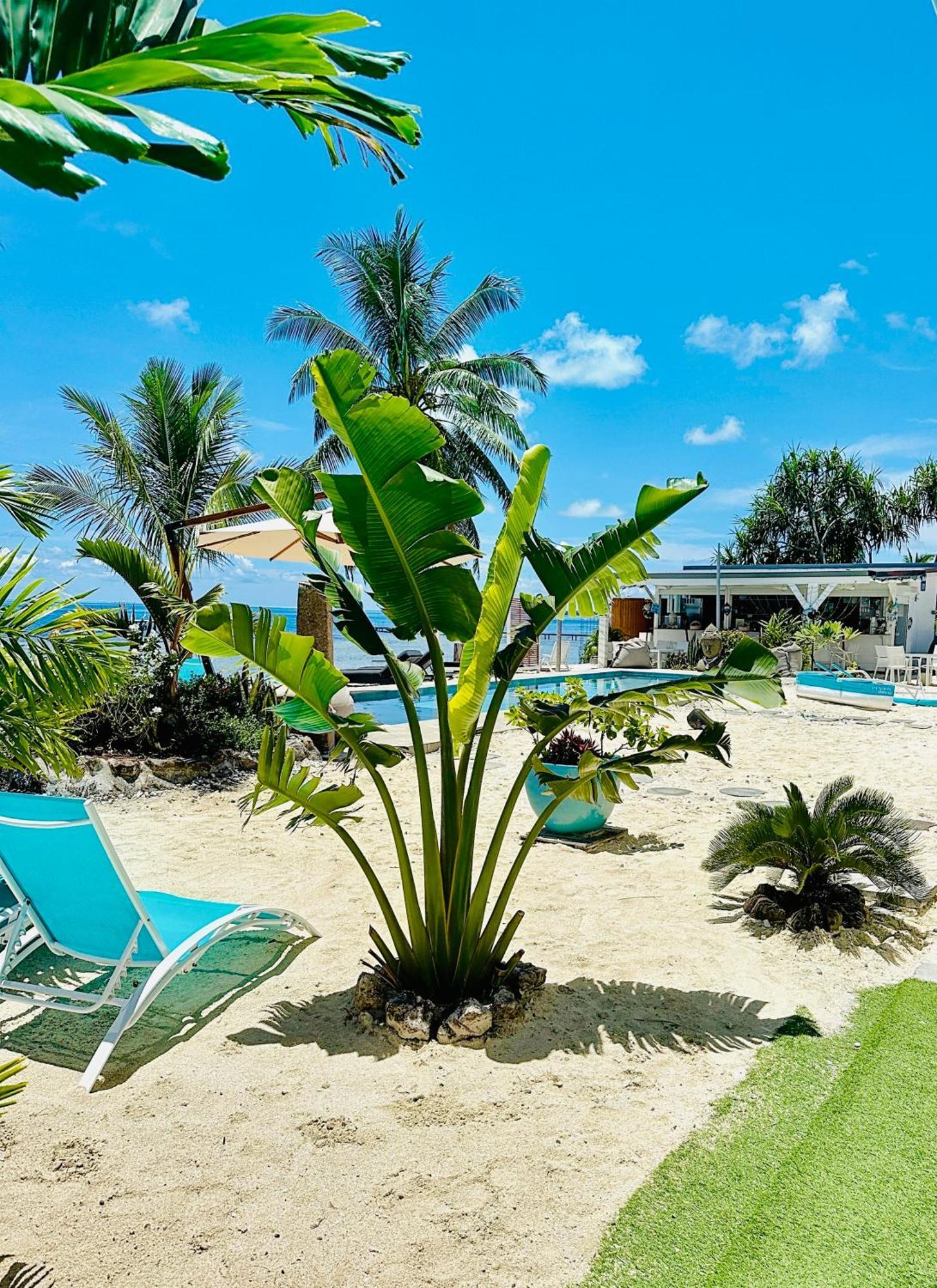Pension Irivai, Appartement Rava 1 Chambre Bord De Mer أوتوروا المظهر الخارجي الصورة